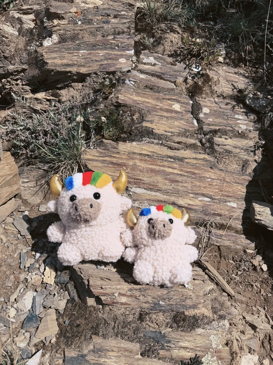 Two Dele yaks, one big and one small, sitting together on layered rocks — 岩石上大小兩隻德勒